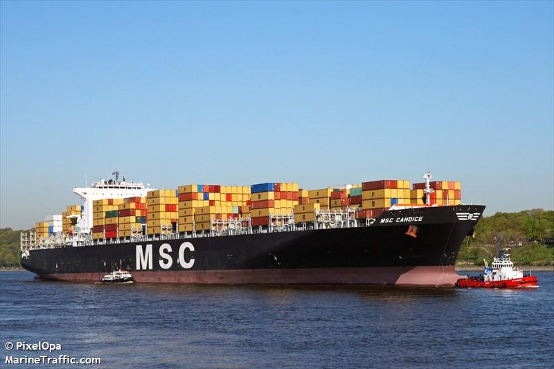 msc candice (Container Ship) - IMO 9339284, MMSI 352871000, Call Sign 3ENC5 under the flag of Panama