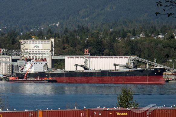 bellevue (Bulk Carrier) - IMO 9431185, MMSI 353163000, Call Sign 3EWE5 under the flag of Panama