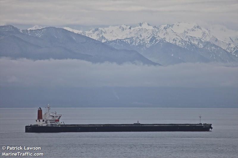 winning queen (Bulk Carrier) - IMO 9311282, MMSI 353663000, Call Sign 3EFF4 under the flag of Panama