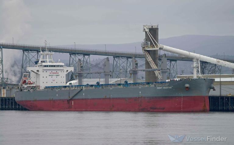 vincent mountain (Bulk Carrier) - IMO 9863807, MMSI 357545000, Call Sign HOJZ under the flag of Panama