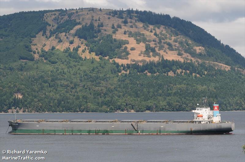 green horizon (Container Ship) - IMO 9629158, MMSI 372242000, Call Sign 3EVD8 under the flag of Panama