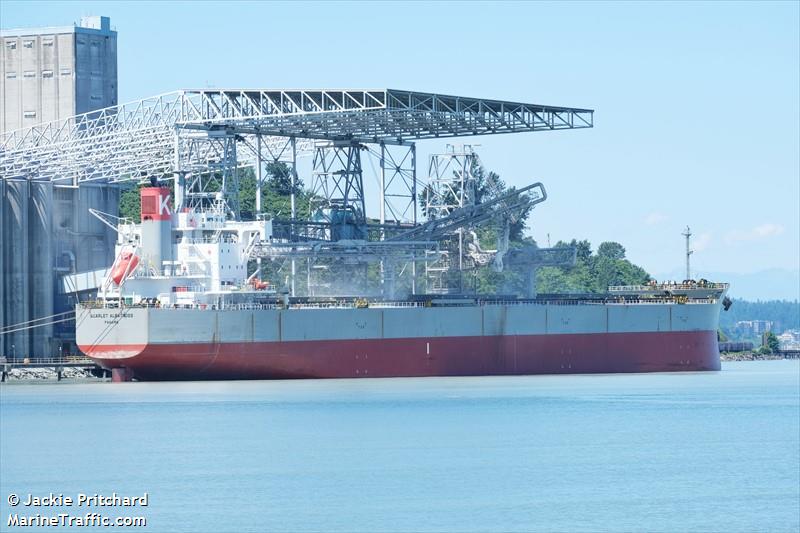 scarlet albatross (Bulk Carrier) - IMO 9544061, MMSI 374084000, Call Sign 3EWY2 under the flag of Panama