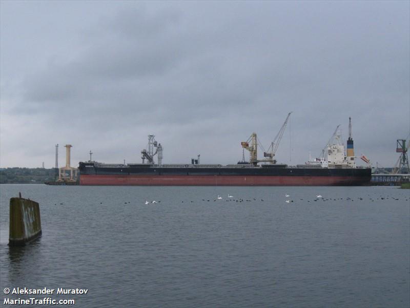 amadeus (Bulk Carrier) - IMO 9749855, MMSI 374696000, Call Sign 3EXD7 under the flag of Panama