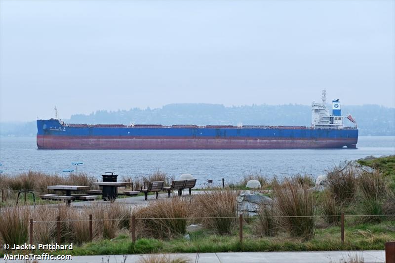 shandong fu de (Bulk Carrier) - IMO 9734757, MMSI 477153300, Call Sign VRRN2 under the flag of Hong Kong