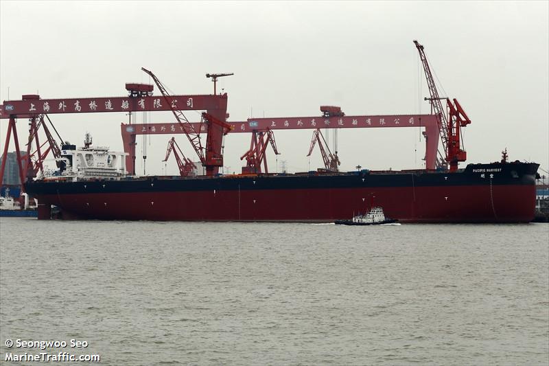 pacific harvest (Bulk Carrier) - IMO 9806988, MMSI 477191200, Call Sign VRRJ8 under the flag of Hong Kong