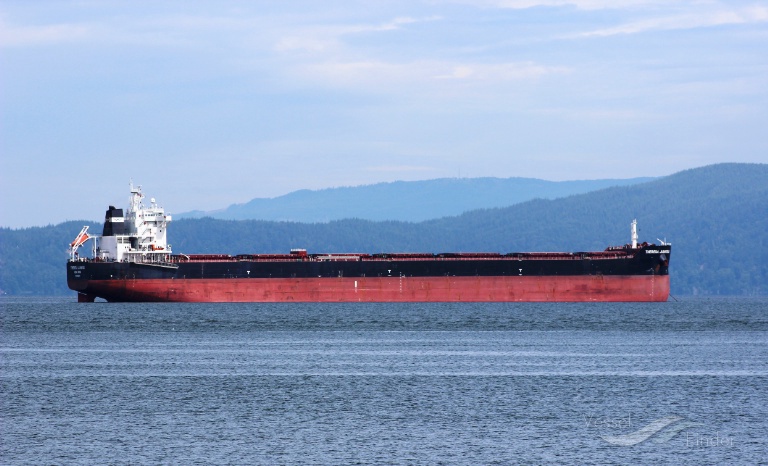 theresa jiangsu (Bulk Carrier) - IMO 9591844, MMSI 477792300, Call Sign VRKB3 under the flag of Hong Kong