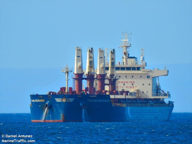 trammo independent (Bulk Carrier) - IMO 9762895, MMSI 636017034, Call Sign D5IZ5 under the flag of Liberia