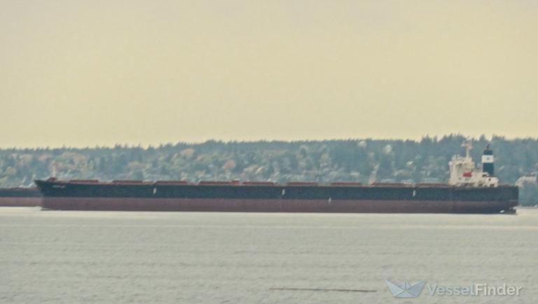 ocean leo (Bulk Carrier) - IMO 9258117, MMSI 636018911, Call Sign D5RZ7 under the flag of Liberia