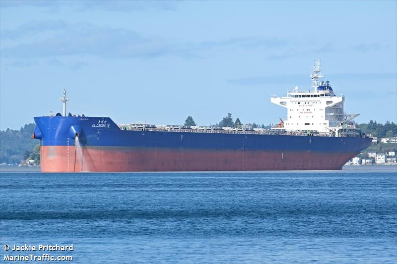 cl dayang he (Bulk Carrier) - IMO 9880283, MMSI 636019319, Call Sign D5TY8 under the flag of Liberia