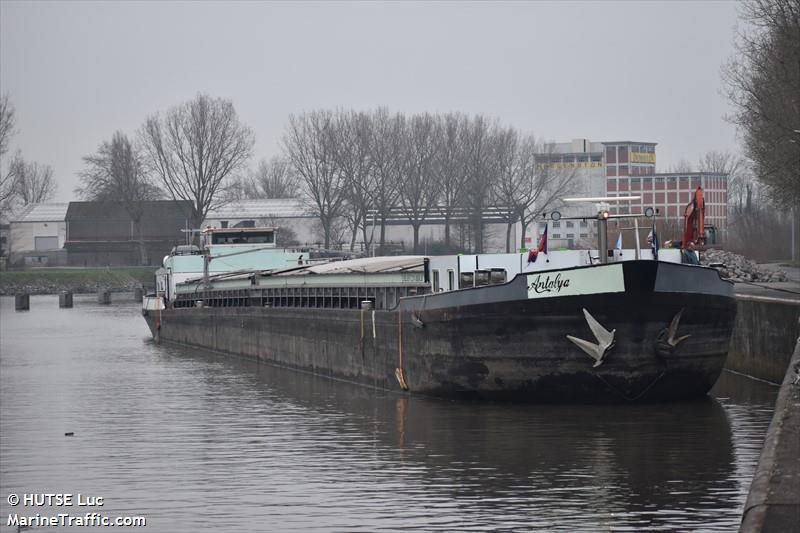 antalya (Cargo ship) - IMO , MMSI 205500890, Call Sign OT5008 under the flag of Belgium