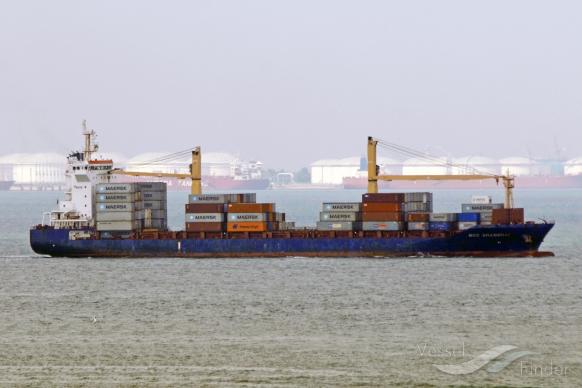 oceana (Container Ship) - IMO 9634684, MMSI 305969000, Call Sign V2GK4 under the flag of Antigua & Barbuda