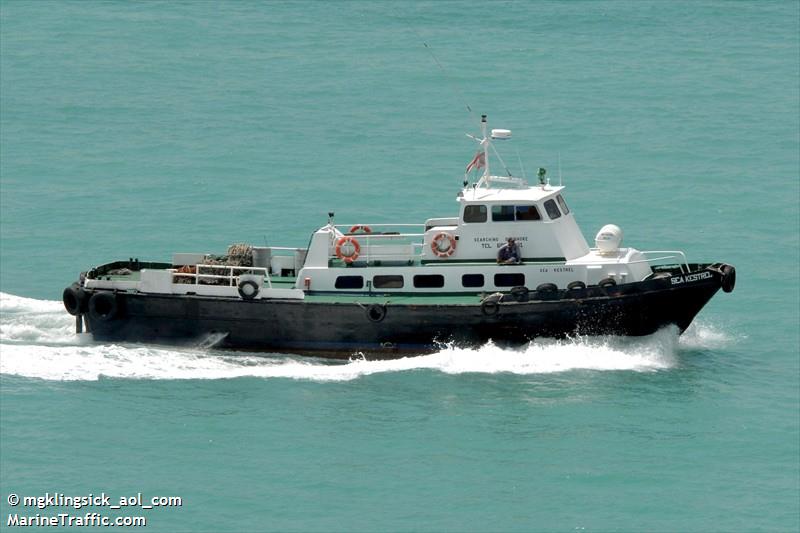 sea kestrel (Cargo ship) - IMO , MMSI 312229000, Call Sign V3SV under the flag of Belize