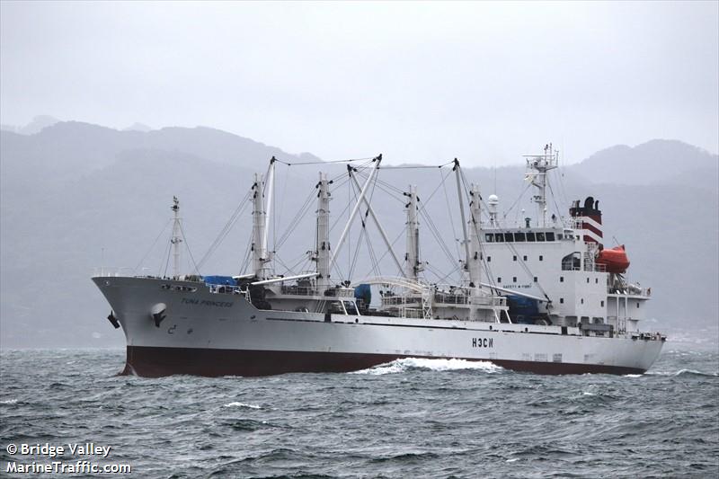 tuna princess (Refrigerated Cargo Ship) - IMO 9314612, MMSI 352241000, Call Sign H3CN under the flag of Panama