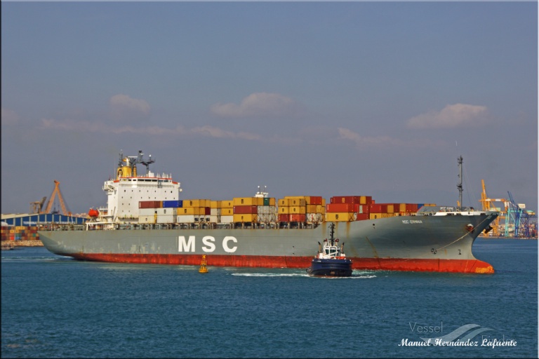 msc erminia (Container Ship) - IMO 9043756, MMSI 352270000, Call Sign 3FGH3 under the flag of Panama