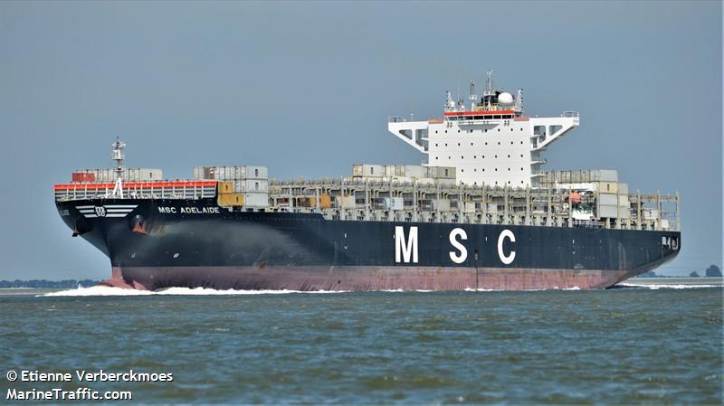 msc adelaide (Container Ship) - IMO 9618290, MMSI 352619000, Call Sign 3FIF7 under the flag of Panama