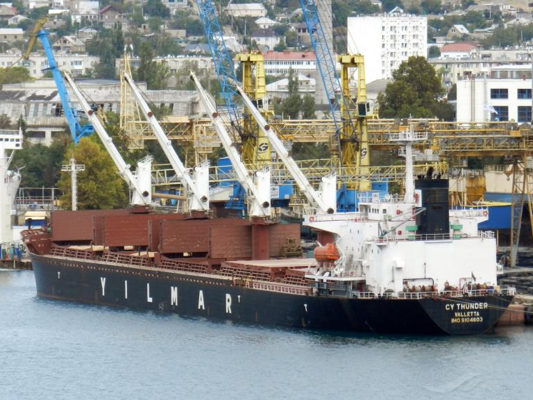 alby story (Bulk Carrier) - IMO 9104603, MMSI 356405000, Call Sign 3FZZ7 under the flag of Panama