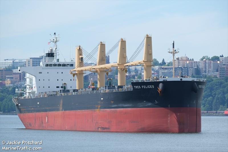 tres felices (Bulk Carrier) - IMO 9845879, MMSI 357016000, Call Sign 3FCU3 under the flag of Panama