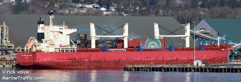 federal illinois (Bulk Carrier) - IMO 9860647, MMSI 357359000, Call Sign 3FRS4 under the flag of Panama