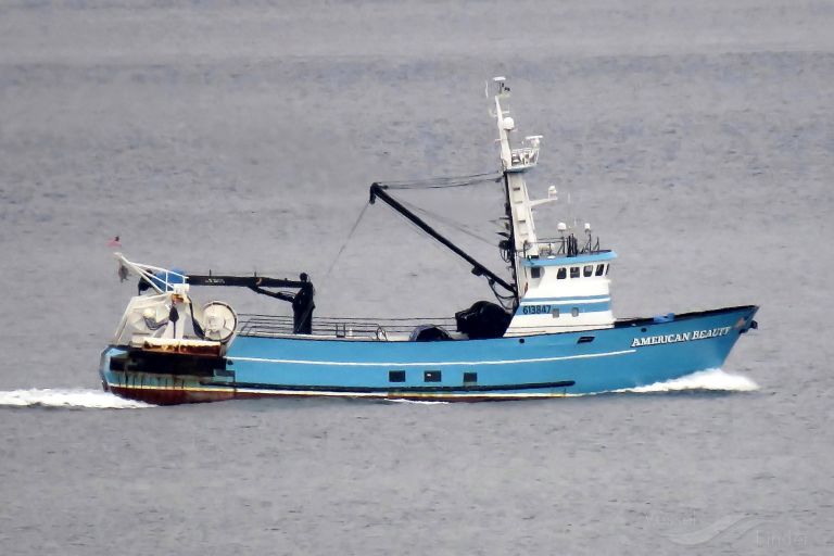 american beauty (Fishing Vessel) - IMO 8003187, MMSI 367479000, Call Sign WBP5856 under the flag of United States (USA)