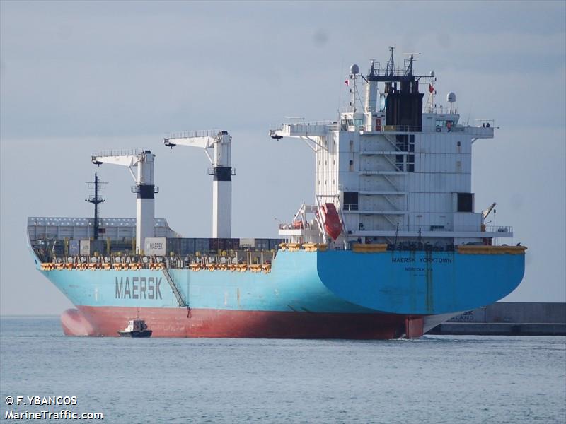 maersk yorktown (Container Ship) - IMO 9289192, MMSI 369248000, Call Sign WSNU under the flag of United States (USA)