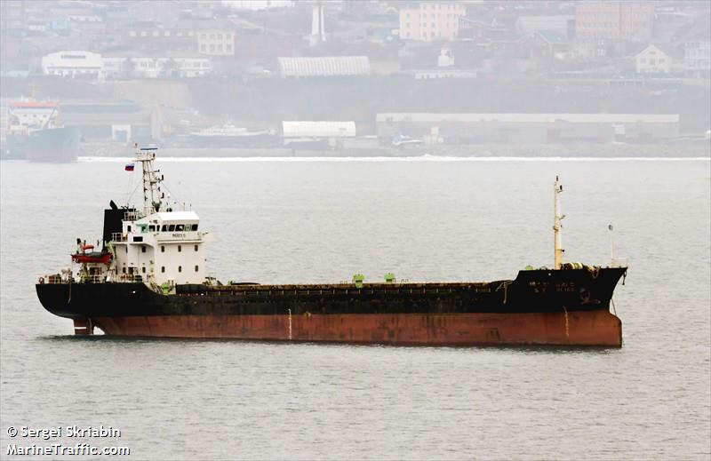 woojin elvis (Chemical/Oil Products Tanker) - IMO 9442665, MMSI 440010000, Call Sign D7WE under the flag of Korea