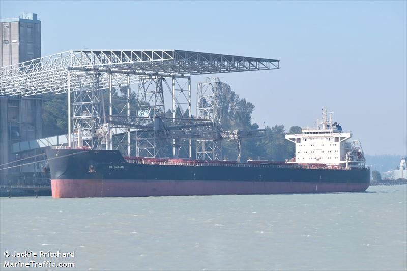 cl dalian (Bulk Carrier) - IMO 9649304, MMSI 477327200, Call Sign VRST8 under the flag of Hong Kong