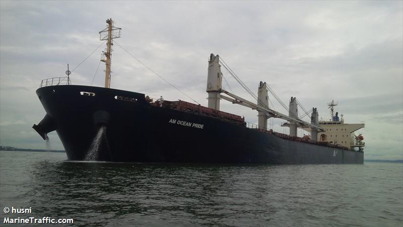 am ocean pride (Bulk Carrier) - IMO 9279599, MMSI 538007117, Call Sign V7VW7 under the flag of Marshall Islands