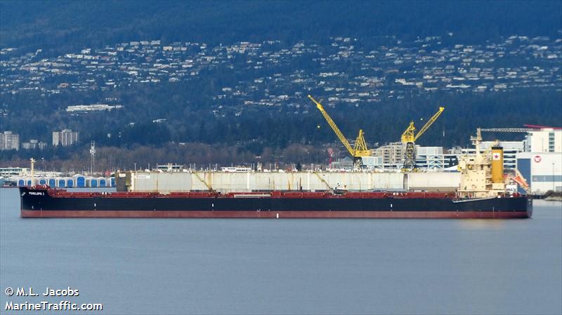 penelope i (Bulk Carrier) - IMO 9762601, MMSI 538007170, Call Sign V7YB3 under the flag of Marshall Islands