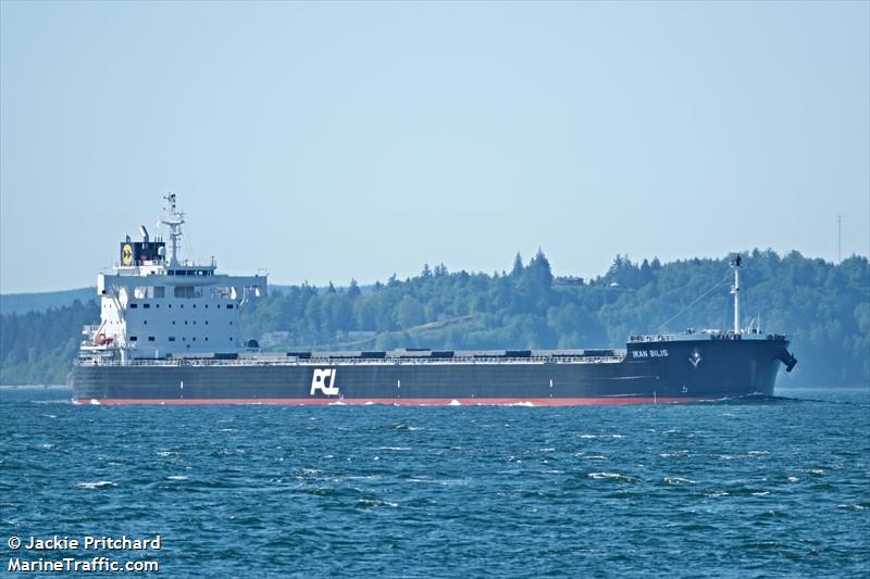 atlantic sakura (Bulk Carrier) - IMO 9865348, MMSI 538008749, Call Sign V7A2719 under the flag of Marshall Islands