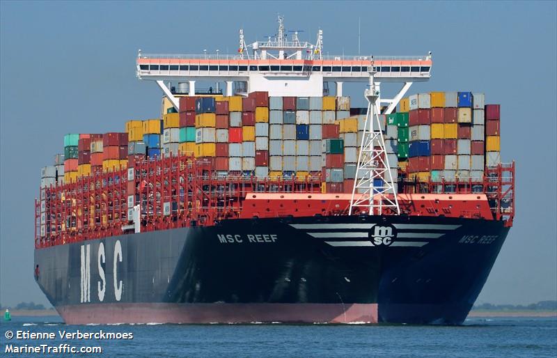 msc reef (Container Ship) - IMO 9754965, MMSI 636017577, Call Sign D5LQ2 under the flag of Liberia