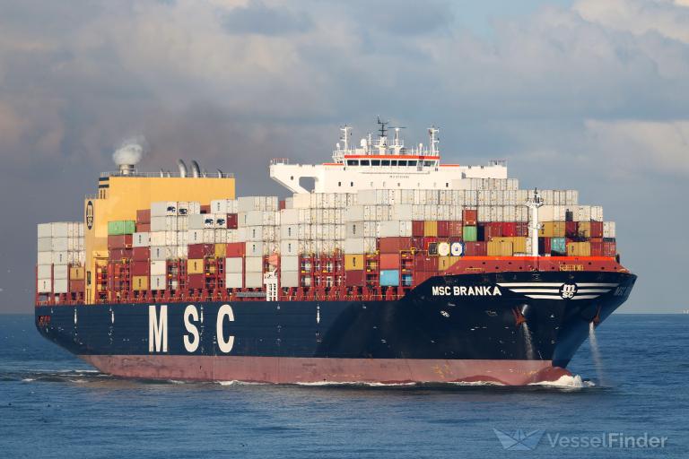 msc branka (Container Ship) - IMO 9720495, MMSI 255805891, Call Sign CQYL under the flag of Madeira
