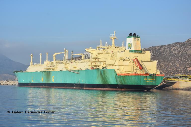 lng lokoja (LNG Tanker) - IMO 9269960, MMSI 310519000, Call Sign ZCDT3 under the flag of Bermuda