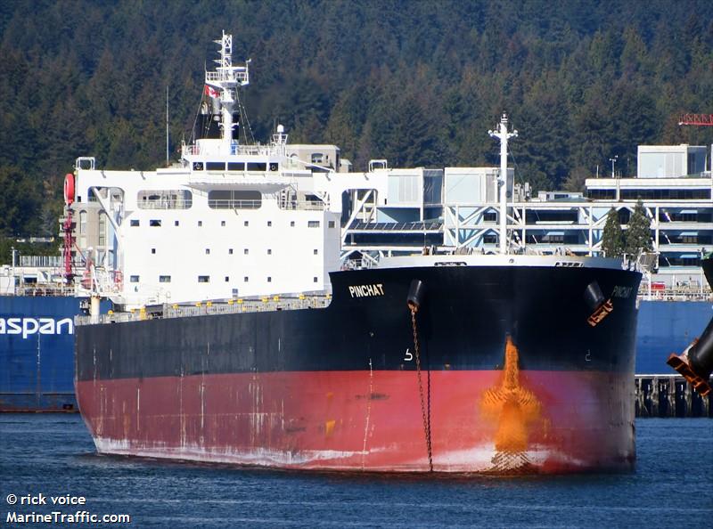 pinchat (Bulk Carrier) - IMO 9758466, MMSI 352012000, Call Sign H8IS under the flag of Panama