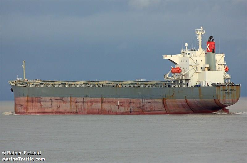 hl emerald (Bulk Carrier) - IMO 9884631, MMSI 355554000, Call Sign 3FFK under the flag of Panama