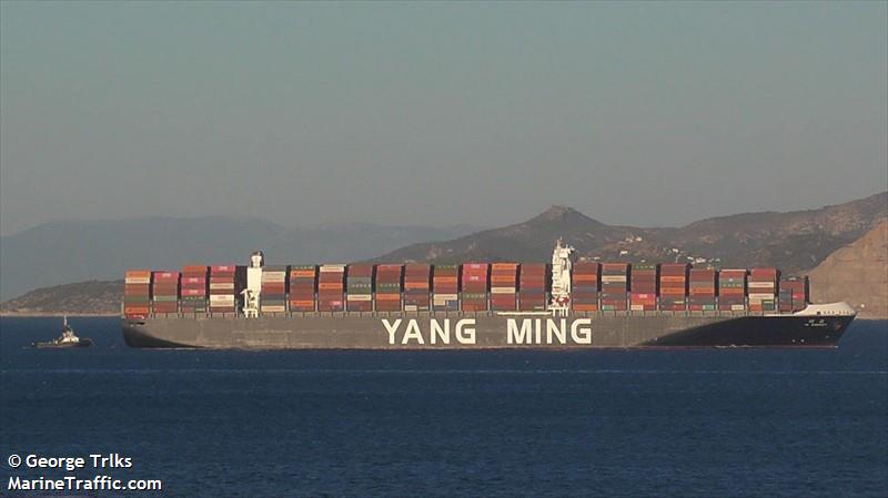 ym warranty (Container Ship) - IMO 9757228, MMSI 356941000, Call Sign 3EDZ7 under the flag of Panama