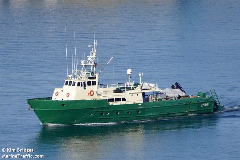merlin (Local type) - IMO , MMSI 367409000, Call Sign WDD6426 under the flag of United States (USA)