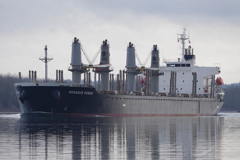 es integrity (Bulk Carrier) - IMO 9736963, MMSI 371608000, Call Sign HPYX under the flag of Panama