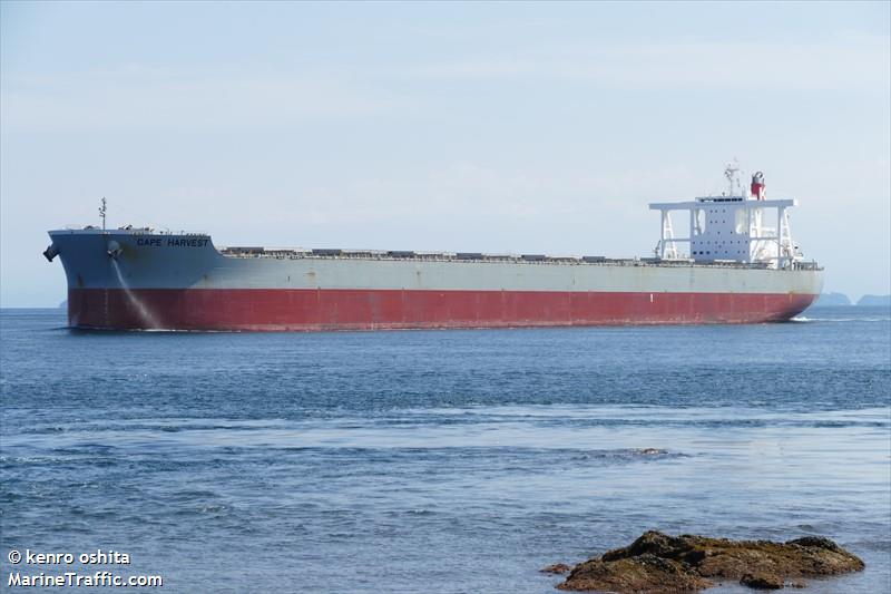 cape harvest (Bulk Carrier) - IMO 9713442, MMSI 372754000, Call Sign 3FIT2 under the flag of Panama