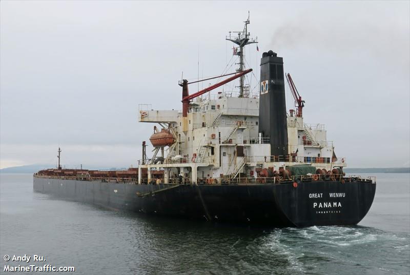 yi hui (Bulk Carrier) - IMO 9072185, MMSI 374985000, Call Sign H8FI under the flag of Panama