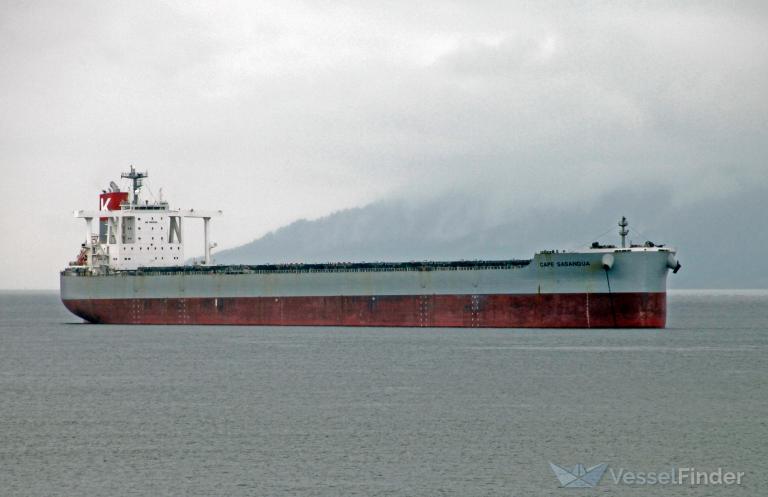 cape sasanqua (Bulk Carrier) - IMO 9603350, MMSI 431356000, Call Sign 7JXN under the flag of Japan