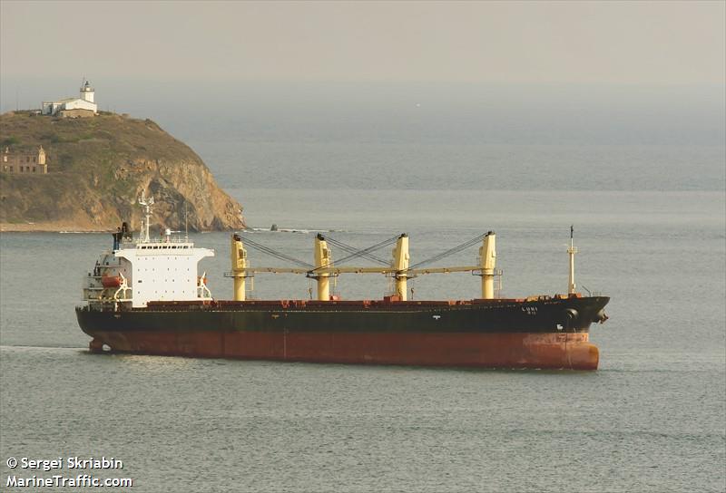 luni (Bulk Carrier) - IMO 9070711, MMSI 441997000, Call Sign D8DA under the flag of Korea