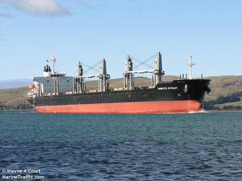 naruto strait (Bulk Carrier) - IMO 9749843, MMSI 477043300, Call Sign VRQF4 under the flag of Hong Kong