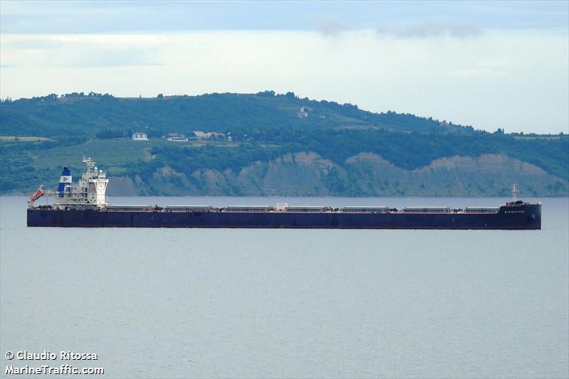 eastern river (Bulk Carrier) - IMO 9459357, MMSI 477328600, Call Sign VRJI6 under the flag of Hong Kong