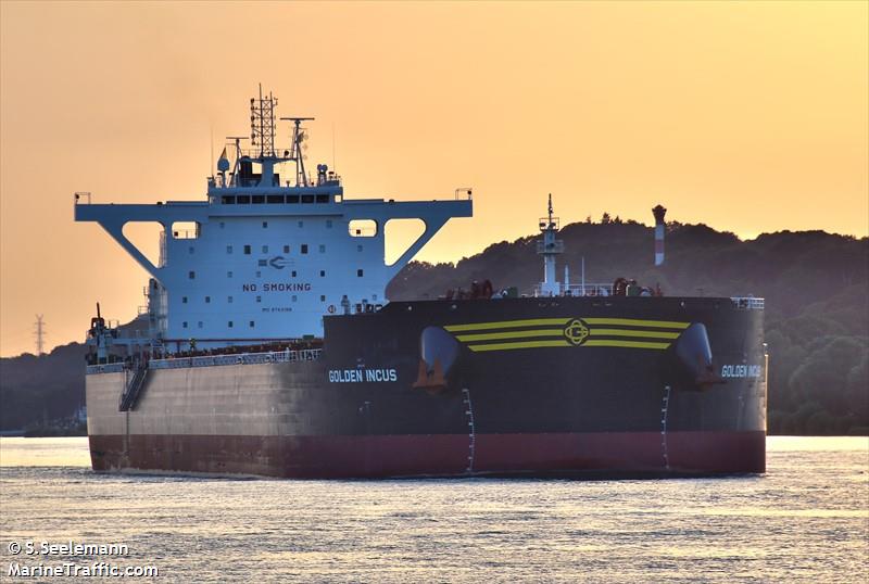 golden incus (Bulk Carrier) - IMO 9743198, MMSI 538007734, Call Sign V7QB9 under the flag of Marshall Islands