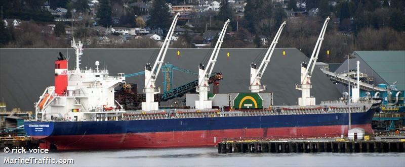 strategic fortitude (Bulk Carrier) - IMO 9753387, MMSI 566646000, Call Sign 9V5012 under the flag of Singapore