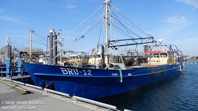 bru-12 wolfert.frank (Fishing Vessel) - IMO 8136013, MMSI 246431000, Call Sign PCIJ under the flag of Netherlands