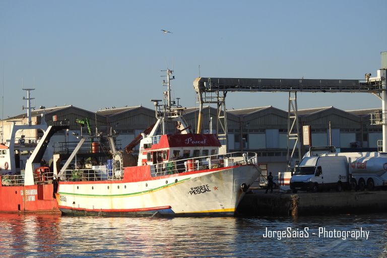 pescal (Unknown) - IMO , MMSI 263514000, Call Sign CUSF under the flag of Portugal