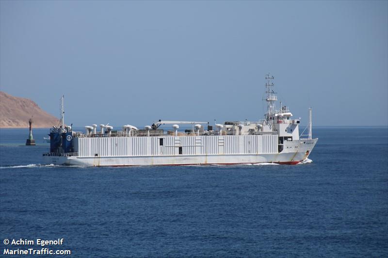 finola m (Livestock Carrier) - IMO 8616623, MMSI 351371000, Call Sign 3FTD2 under the flag of Panama