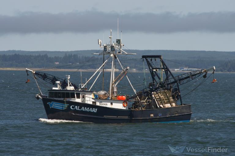 calamari (Fishing vessel) - IMO , MMSI 367355270, Call Sign WDE4590 under the flag of United States (USA)