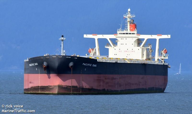 qi ming star (Bulk Carrier) - IMO 9331531, MMSI 371430000, Call Sign 3ECX8 under the flag of Panama